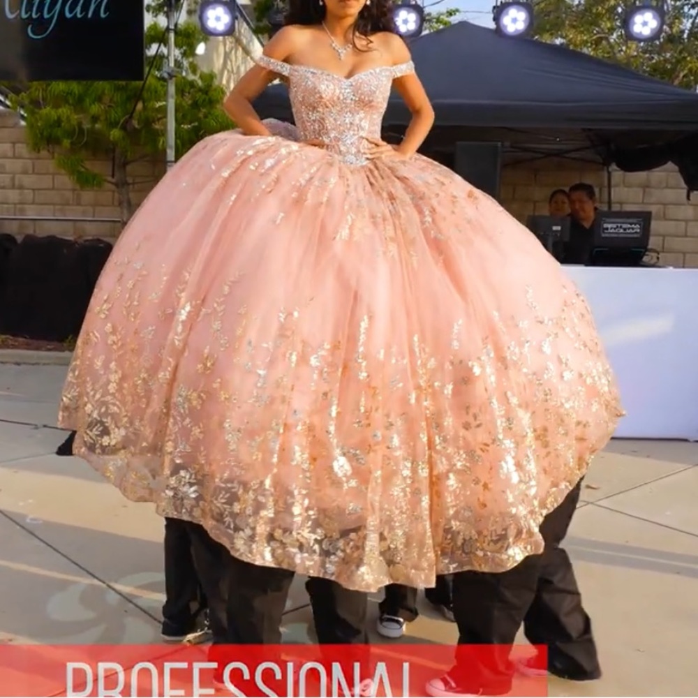 Elegant Pink and Gold Quince Dress